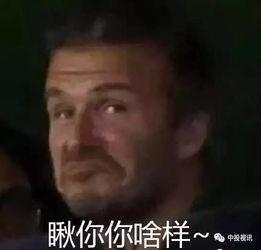 七爸和娱乐吃瓜君怎么了,揭秘背后故事与争议