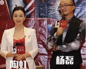 天涯爆料陶虹杨磊视频,娱乐圈再掀波澜